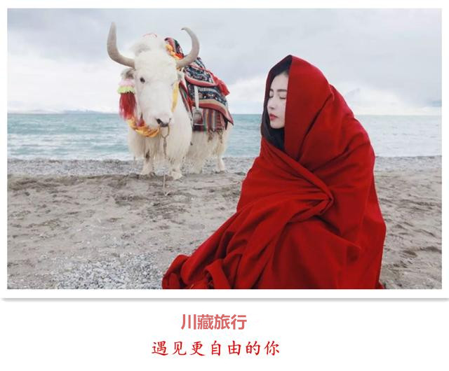 川藏自駕旅行