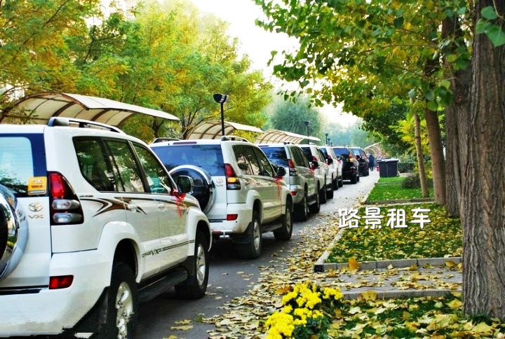 成都便宜租車