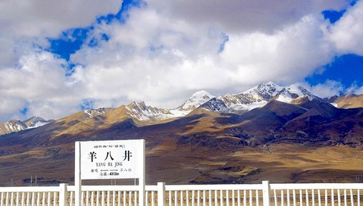 川藏線旅游包車