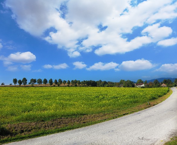 川藏公路 (7).jpg 川藏公路 (7).jpg